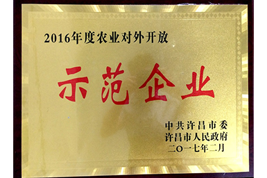 49图库2