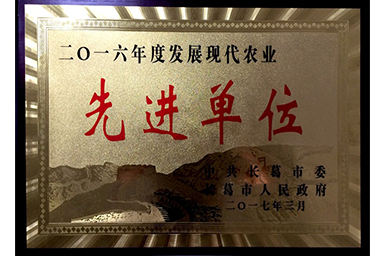 49图库2