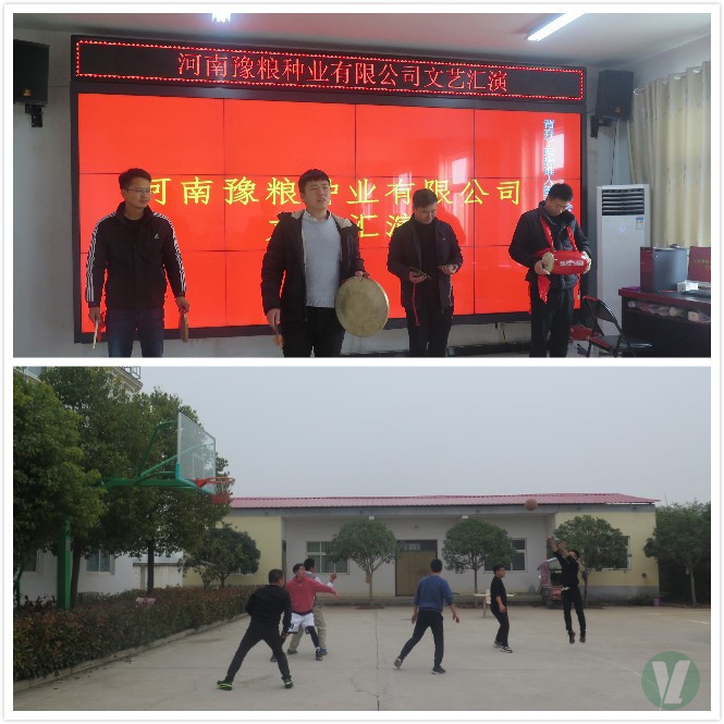 49图库2
