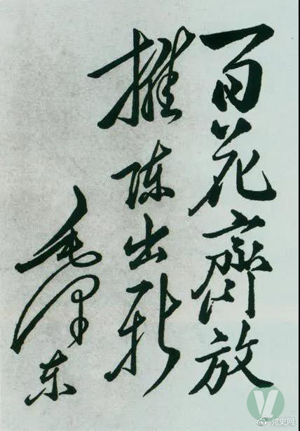 49图库2