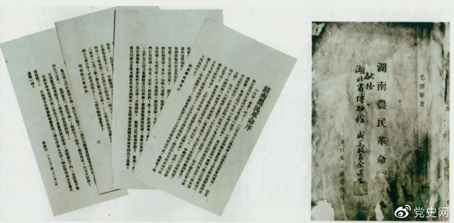 49图库2