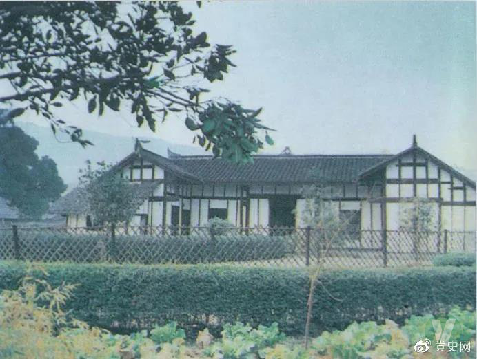 49图库2