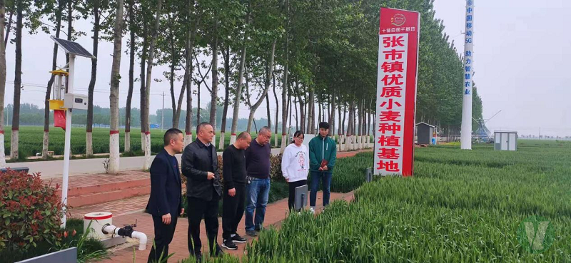 49图库2