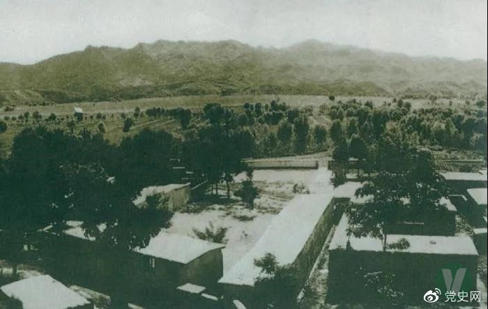 49图库2