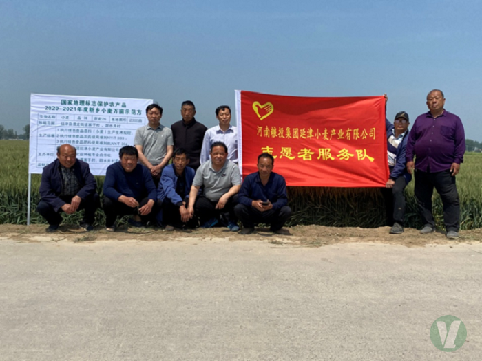 49图库2