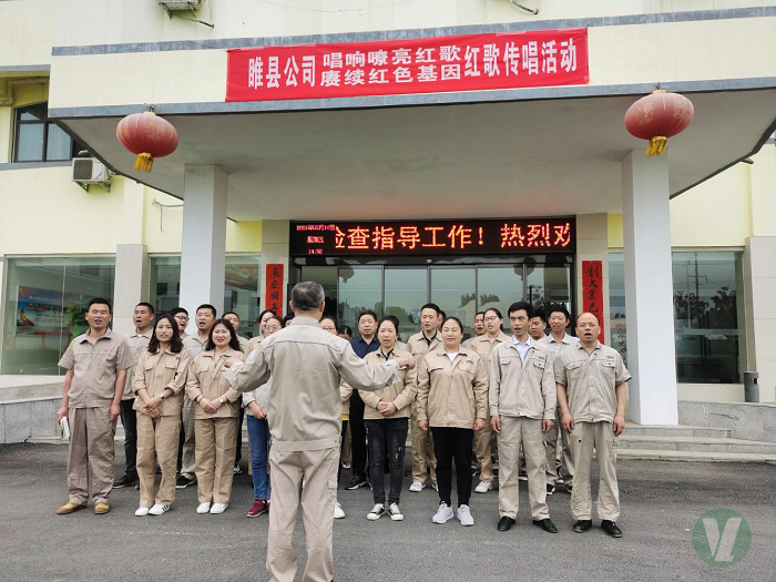 49图库2